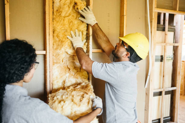 Types of Insulation We Offer in Tyro, NC