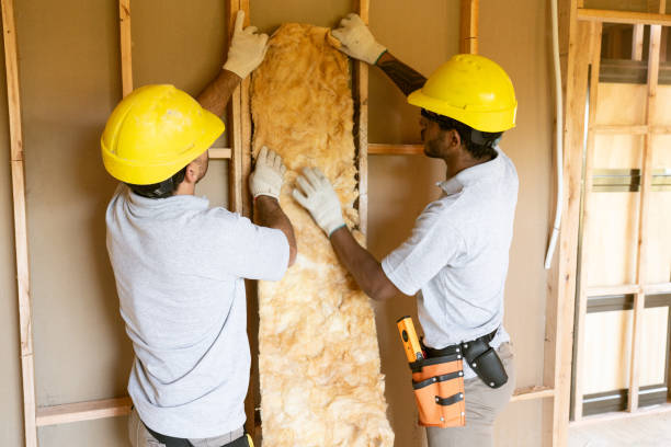 Eco-Friendly or Green Insulation Solutions in Tyro, NC